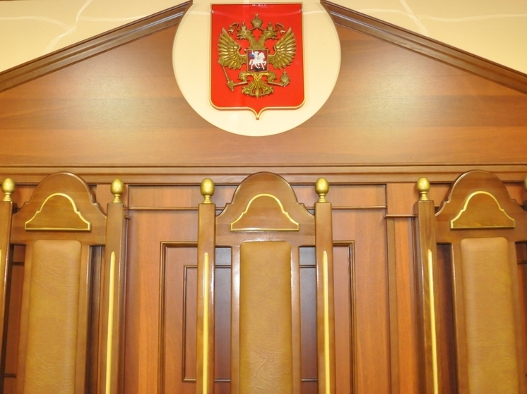 Во время слушания дела Валерия Янина во Владимире свидетель потерял сознание и уехал на скорой