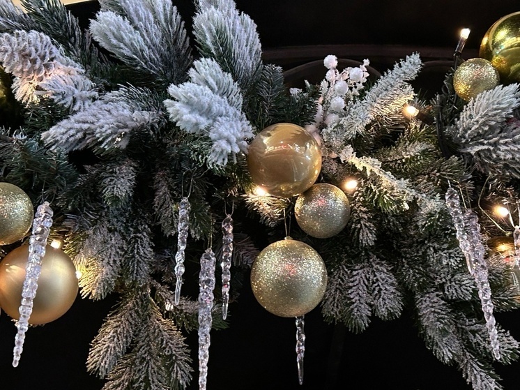 Музыкальный квартирник и ярмарка пройдут в библиотеке на улице Гагарина в Вологде (0+)