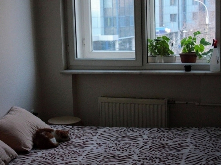 Когда быстрое засыпание может стать проблемой, рассказали волгоградцам