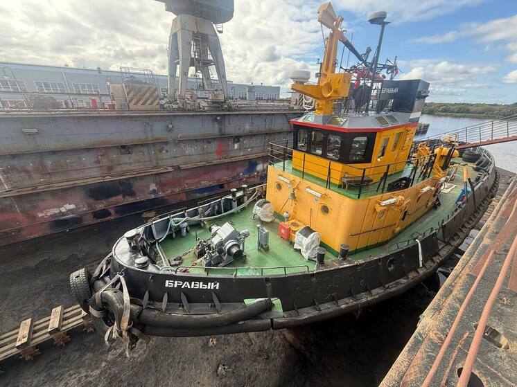 В Выборгском районе будут судить капитана буксира за столкновение с пирсом