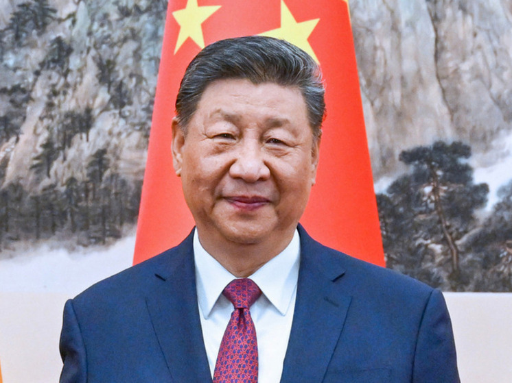 Си Цзиньпин: Китай выступает против попыток очернить Пекин в контексте Украины