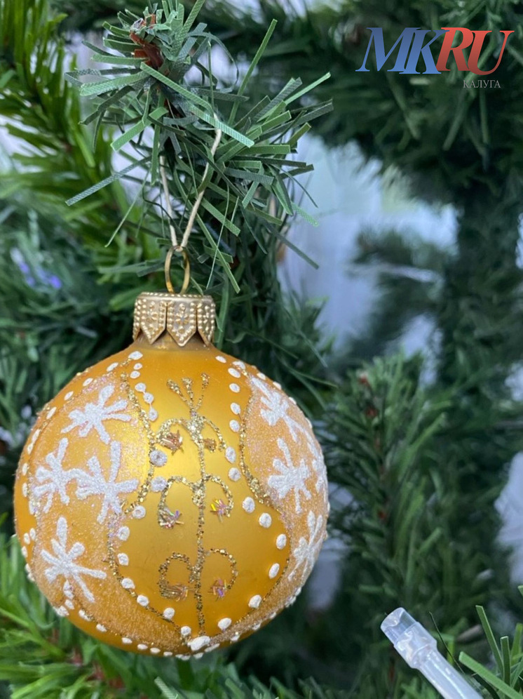 Калужане присоединились к «Новогодней России»