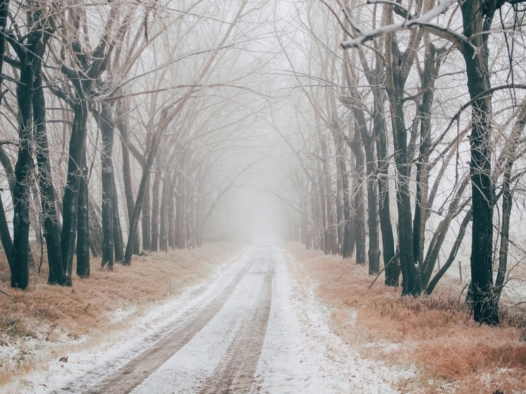 Брянцев предупреждают о тумане на автодорогах