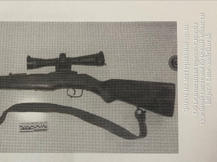 Житель Льгова осужден за незаконное хранение самодельной винтовки в гараже