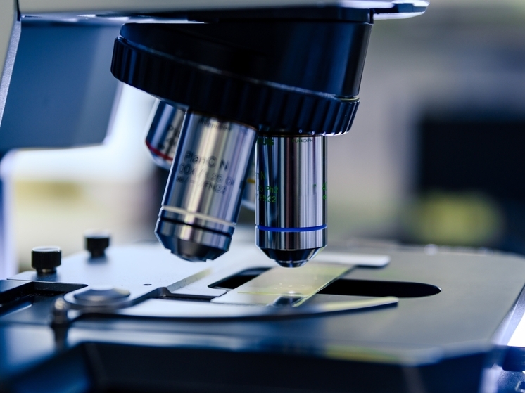 Прошло испытание нового вещества против болезни Альцгеймера от ученых из РФ