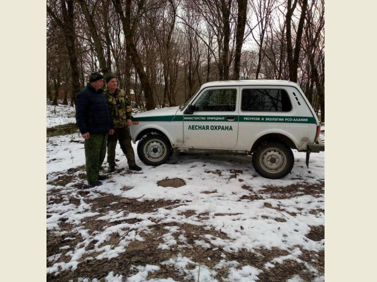 В Северной Осетии усилили меры по охране хвойных лесов перед Новым годом