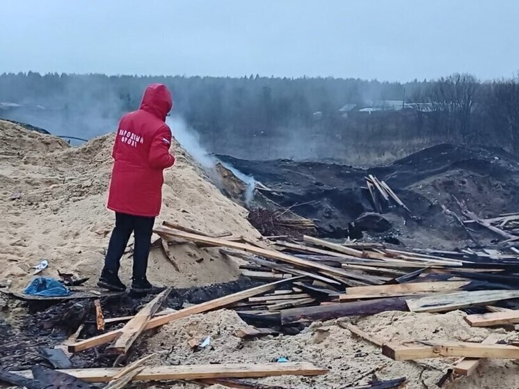 Бастрыкин взял на контроль горящую свалку в Архангельской области