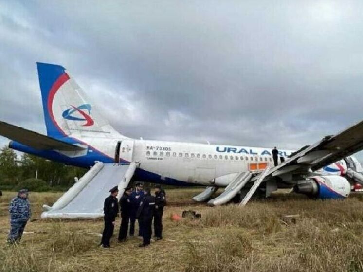 В Омске обжаловали решение суда о возврате дела пилота, посадившего самолёт в поле