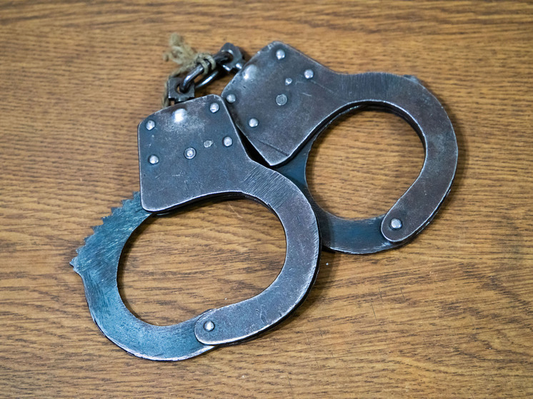 В Брединском районе охотник убил лося, перепутав его с кабаном