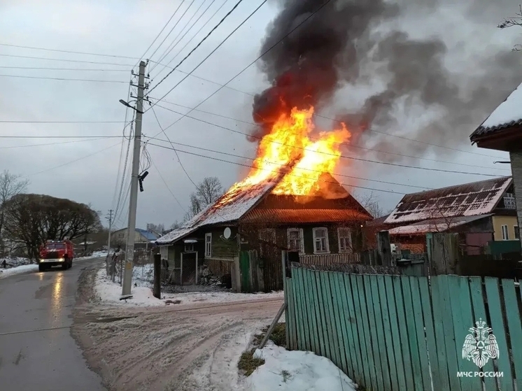 Из-за неисправного дымохода в Тверской области сгорел дом