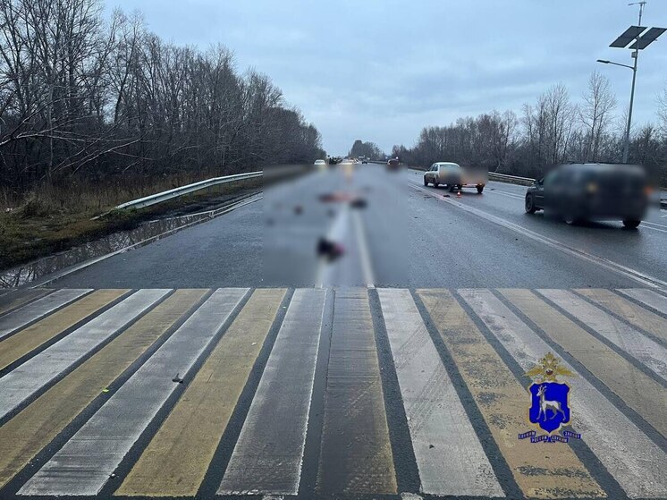 В Самарской области ищут водителя, который насмерть сбил пешехода 4 декабря