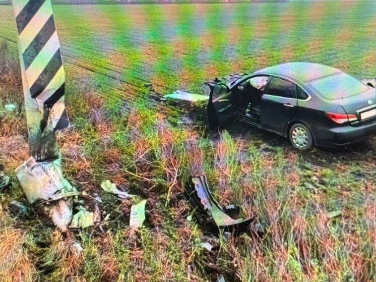 Под Воронежем водитель «Ниссана» врезался в опору ЛЭП