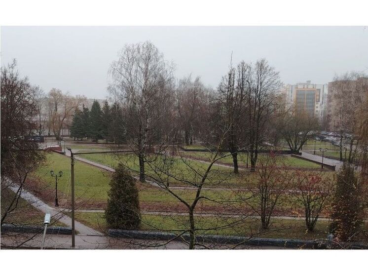 Синоптики 5 декабря прогнозируют в Смоленске пасмурную погоду