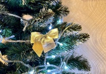 В преддверии Нового года многие жители многоквартирных домов хотят создать праздничную атмосферу не только в своей квартире, но и в подъезде