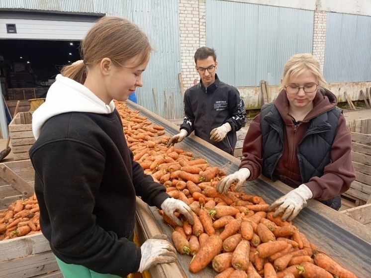11 млн рублей получили вологодские предприятия АПК за практику студентов