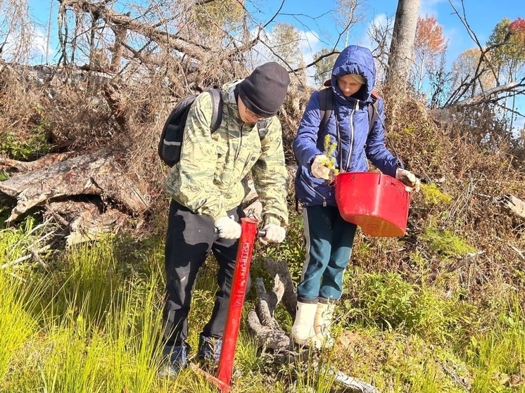 Около 2 тысяч учащихся лесных и агроклассов прошли профессиональные пробы в Вологодской области