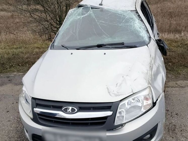 В Волгоградской области женщина-водитель пострадала в ДТП