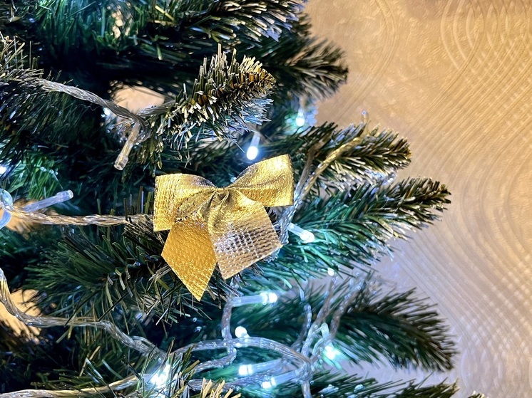 В преддверии Нового года многие жители многоквартирных домов хотят создать праздничную атмосферу не только в своей квартире, но и в подъезде