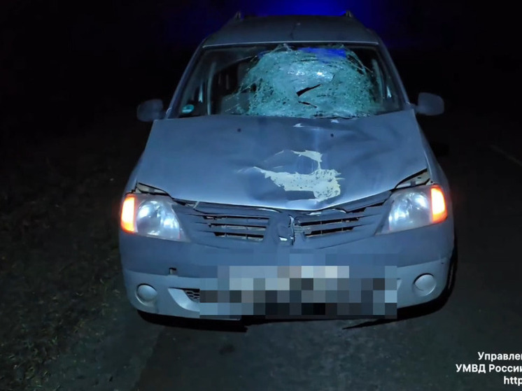 В Корочанском округе мужчина вышел на дорогу и погиб под колесами иномарки