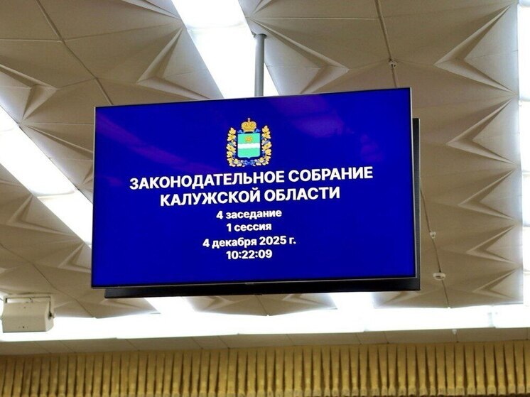 Калужские депутаты одобрили ряд социальных инициатив