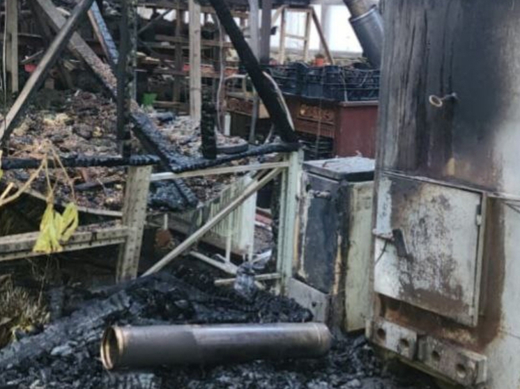 В Батайске местный житель скончался в больнице от ожогов во время пожара