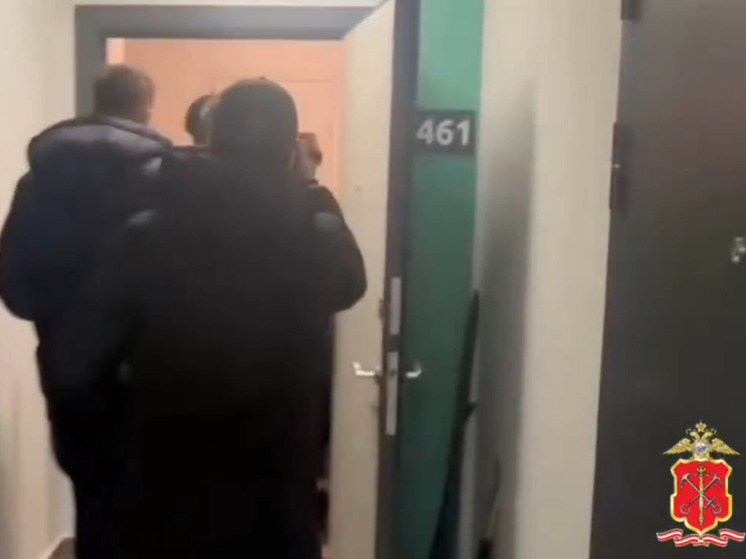 Житель Выборгского района оказался участником группы автоугонщиков