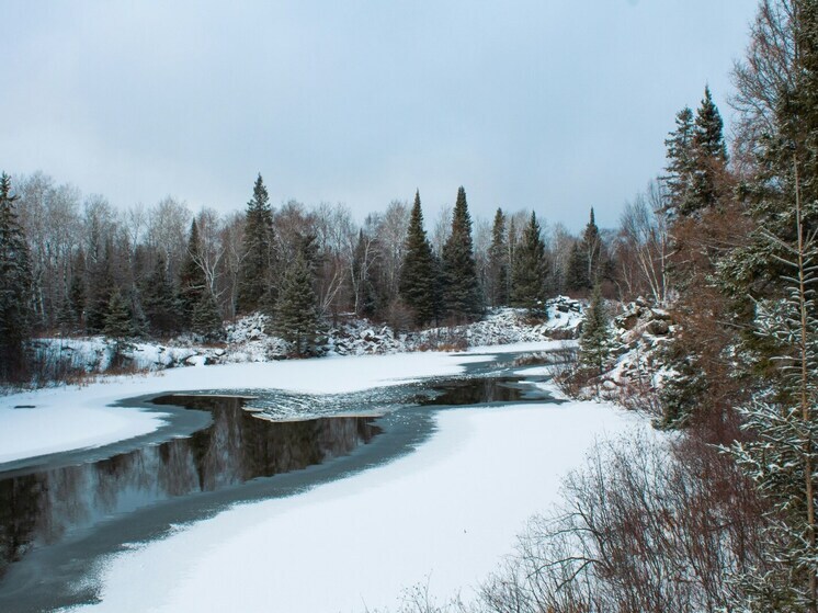 Желтая вода в реке напугала жителей Кабанского района Бурятии