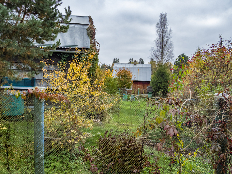 Эксперт Евпряков заявил о необходимости проверить освещение на даче до зимы