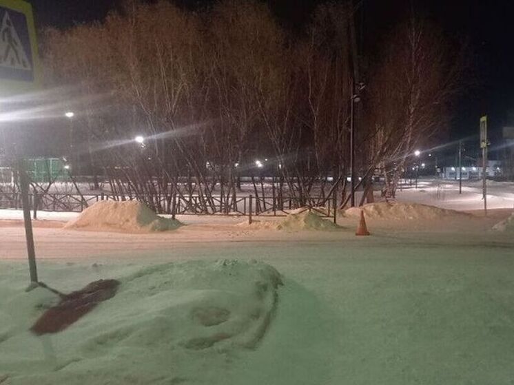 В Братске ищут водителя, сбившего школьницу