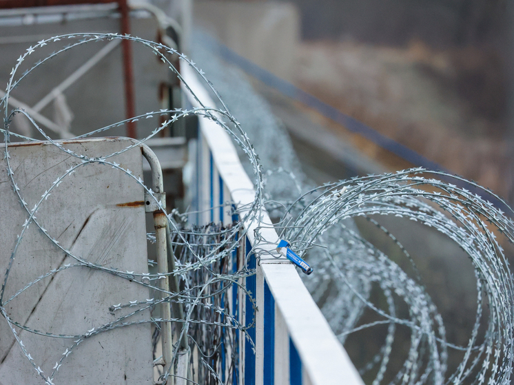 Пограничная служба Польши: в страну массово въезжают молодые украинские мужчины