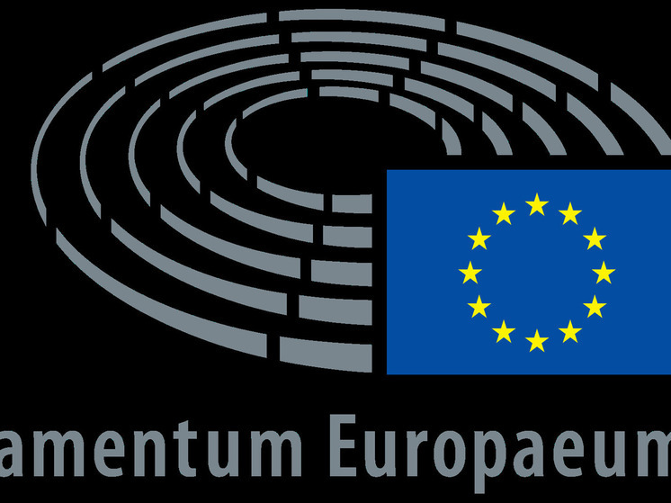 Politico: визит делегации ЕП на Украину отменили из-за депутата АдГ