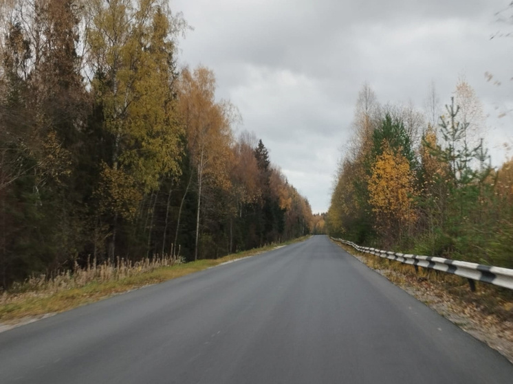 Еще одну дорогу ввели в эксплуатацию в Кирилловском округе