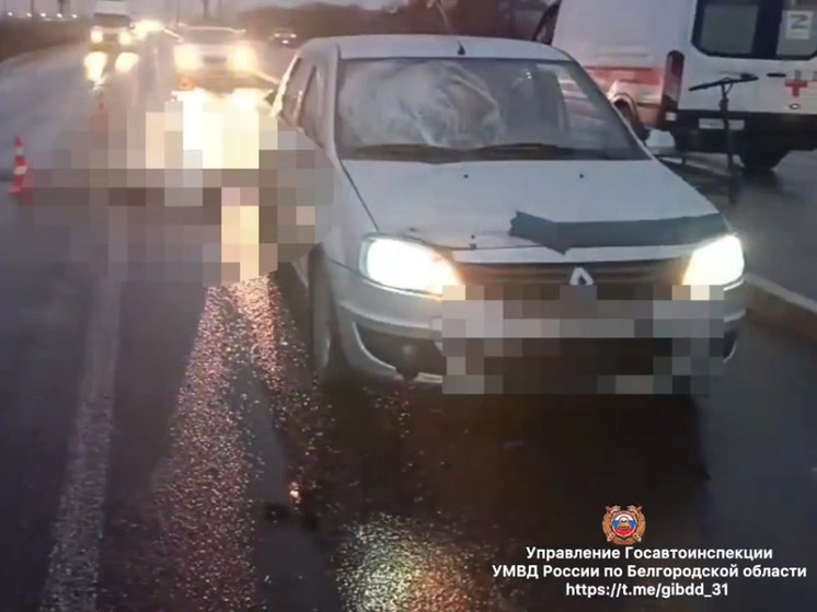 В Белгороде водитель «Рено» насмерть сбил пенсионерку