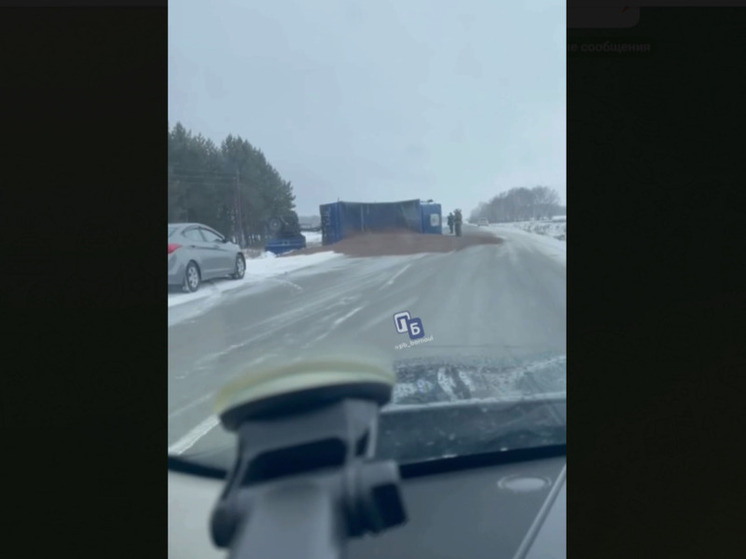 Стали известны подробности ДТП с грузовиком на трассе «Барнаул-Казахстан»