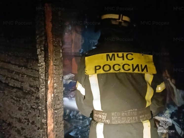 В Орле загорелся блок неэксплуатируемых хозпостроек