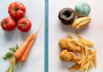 Новое исследование на макаках-резусах показывает, что пожизненное снижение калорийности рациона на 30 процентов способно замедлить биологическое старение ключевых клеток мозга