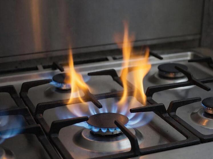 Газификацию Холмского района Сахалина планируют завершить к 2029 году