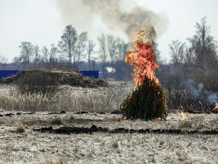 На Южном Урале обучили ИИ находить лесные пожары