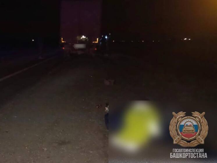 Пешеход погиб под колесами машины на трассе в Башкирии