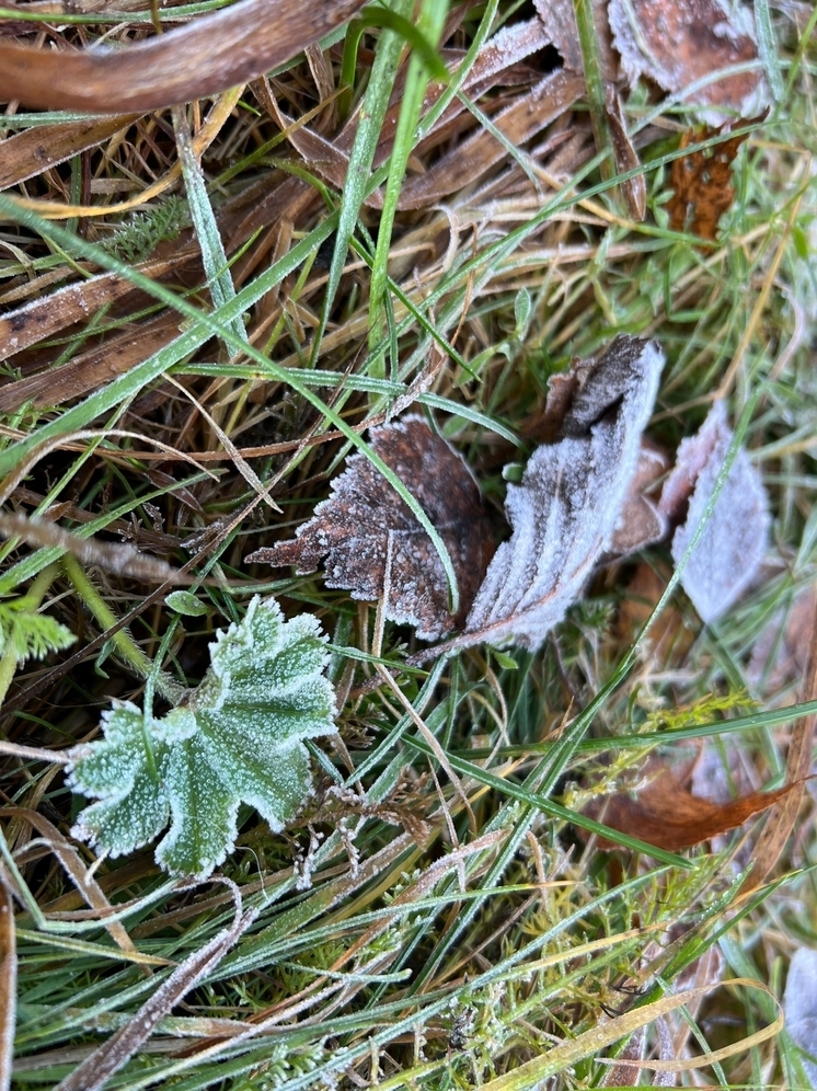Погода на выходные в Тверской области: придет ли зима