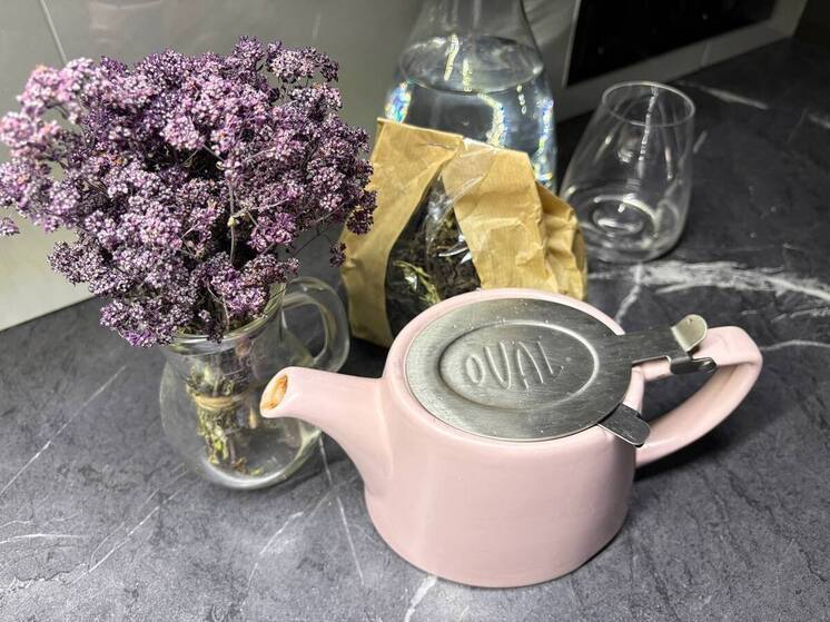 В Пензенской области лицензию на занятие народной медициной можно оформить через Госуслуги