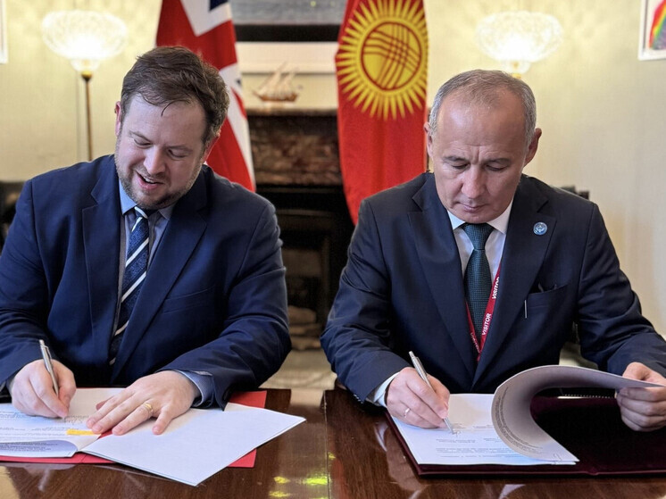 В сфере критически важных минералов