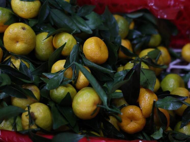 На Южный Урал хотели провезти тонну мандаринов, замаскированных под виноград