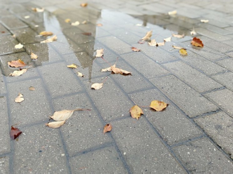 Дождь, мокрый снег и голодед ждут белгородцев в пятницу