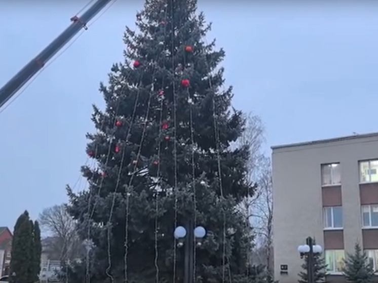 Волоконовский округ готовится к Новому году: началось украшение елки