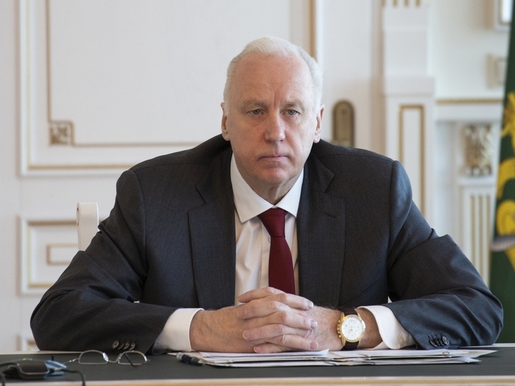 Глава СКР взял на контроль ситуацию с убитой дорогой в тульской деревне