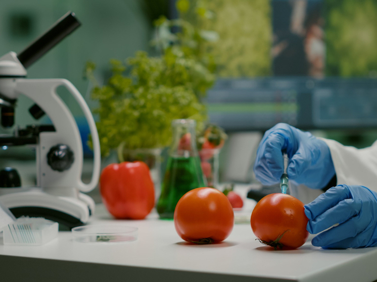 Тамбовский Роспотребнадзор осуществил свыше 800 проб овощей и фруктов в 2025 году