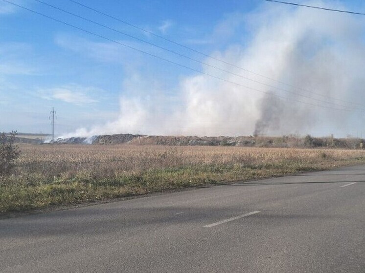 В Алатыре к ответственности привлечен оператор полигона ТБО, где произошел  пожар