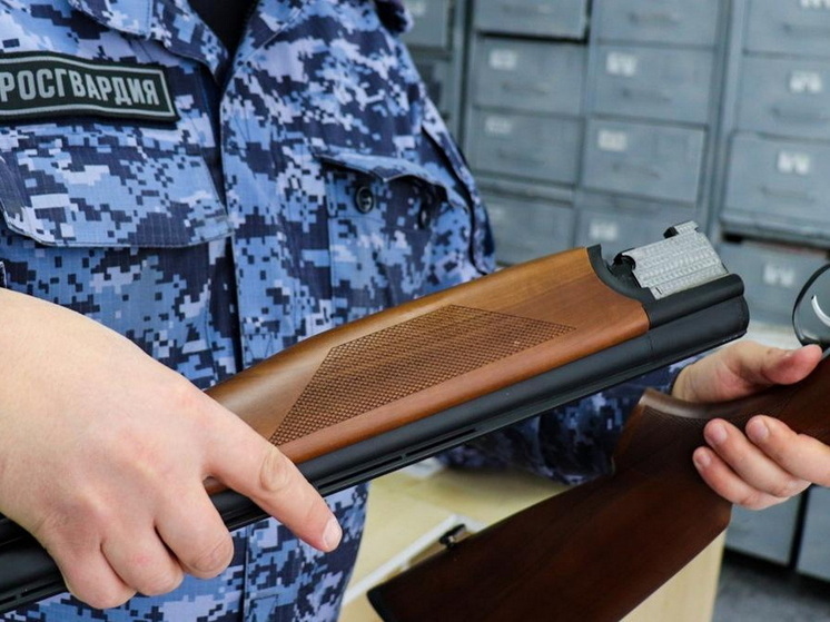 В ноябре в Марий Эл выявлено 13 нарушений в области оборота оружия