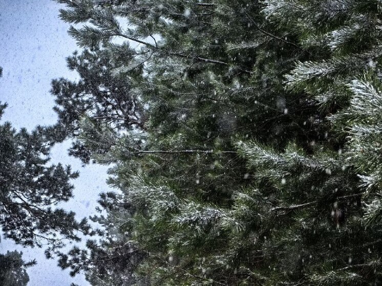 Снегопады и сильный ветер обрушатся на Хакасию